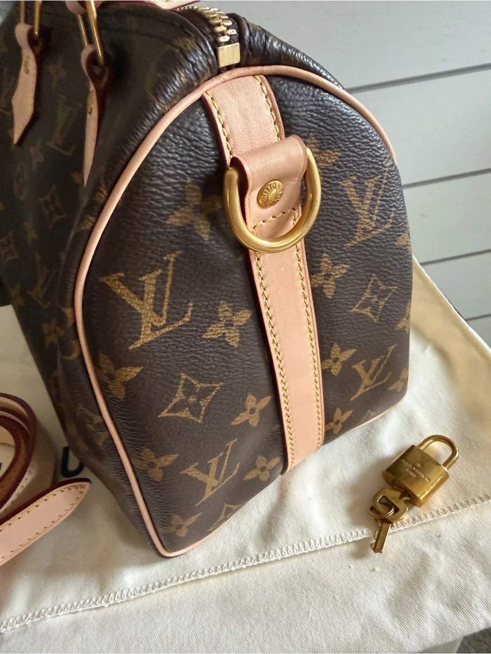Louis Vuitton Speedy Bandouliere 25 bag